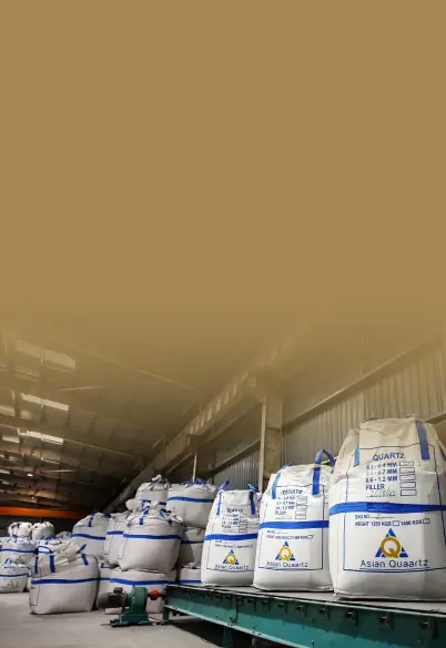 Partner with Us
